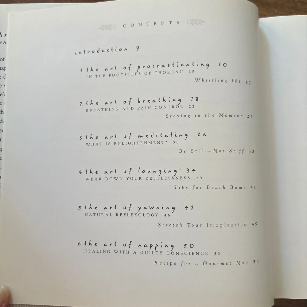 The Art of Doing Nothing Veronique Vienne Hardcover 1st Ed 1998 Meditation